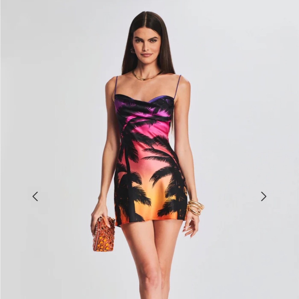 Retrofete Rylynn dress